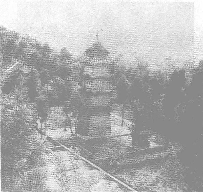 兴教寺塔